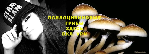 бошки Богородск