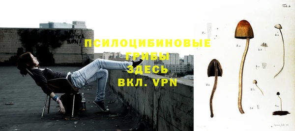 сатива Богданович