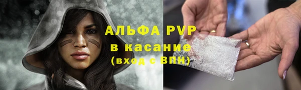 сатива Богданович