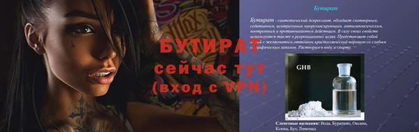 сатива Богданович